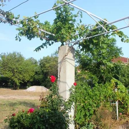 With Parking Space Orebic, Peljesac - 10256 Orebić