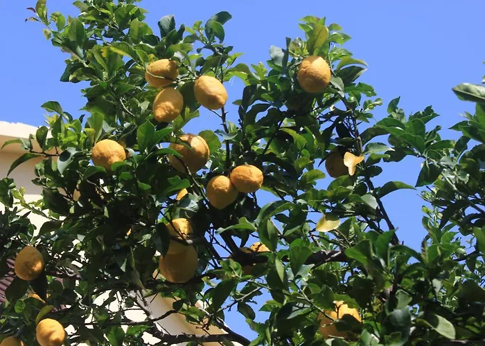 With Parking Space Orebic, Peljesac - 10256 アパート