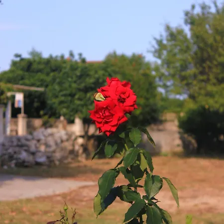 With Parking Space Orebic, Peljesac - 10256 أوروبيتش